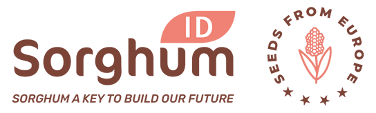 Sorghum ID