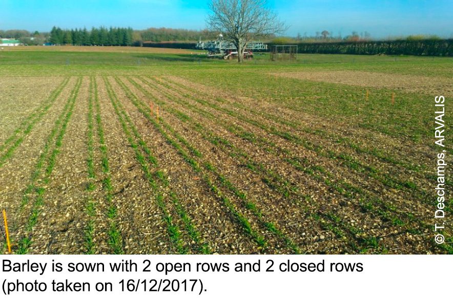 Relay cropping and an innovative technique! ID